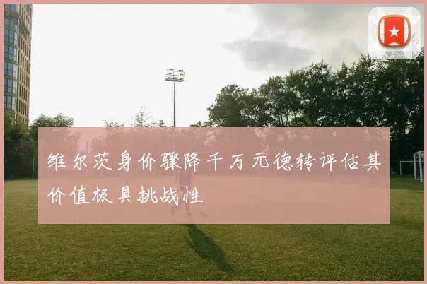 维尔茨身价骤降千万元德转评估其价值极具挑战性