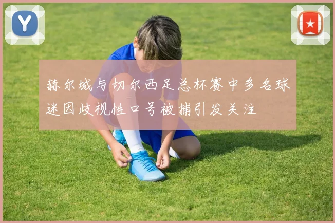 赫尔城与切尔西足总杯赛中多名球迷因歧视性口号被捕引发关注