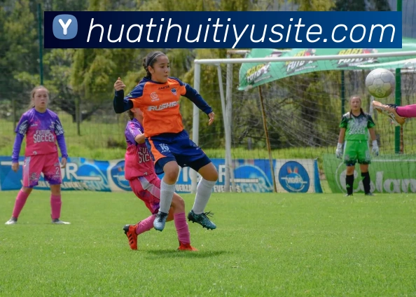 华体会体育APP 封面图